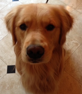 Golden Brodie talks about favorite foods of the presidential candidates 2016