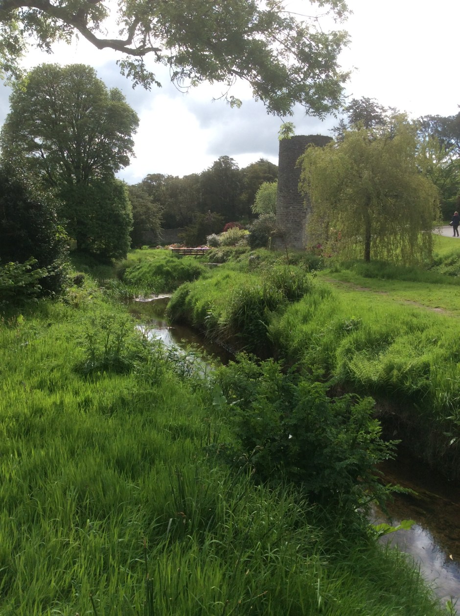 Lush green fields with a rambling stream.