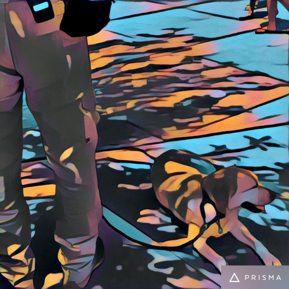 Illustration of service dog