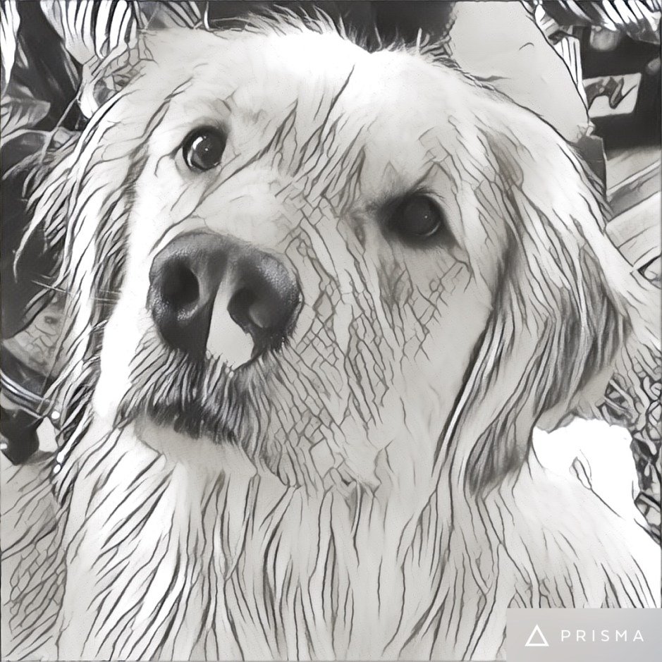 Golden Brodie discusses swing or battle ground states 2016 presidential election