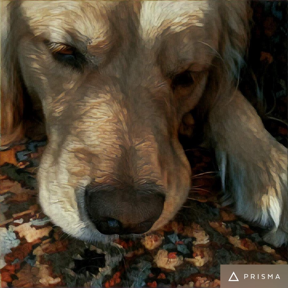 Golden Brodie digs up inaction quotes to inspire folks to vote for their president 2016