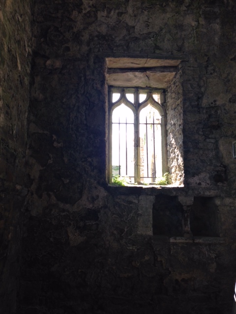 Wheat shafts blowing in the breeze