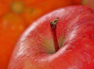 A close up picture of a red apple and its stem