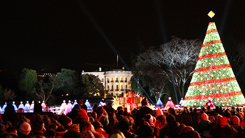 Crowds gather for the official lighting of the National Christmas Tree on the White House Lawn