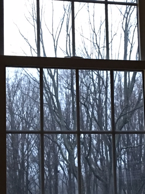 Looking through a window, seeing bare winter trees