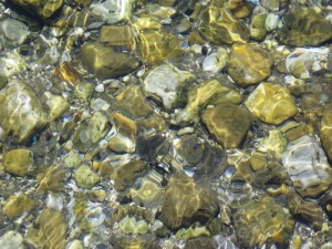 River rocks gleaming in the sunlight