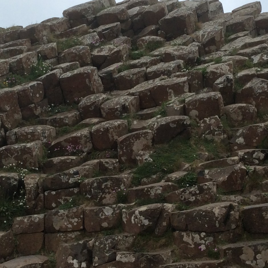 Rock formations, Giant's Causeway, Northern Ireland