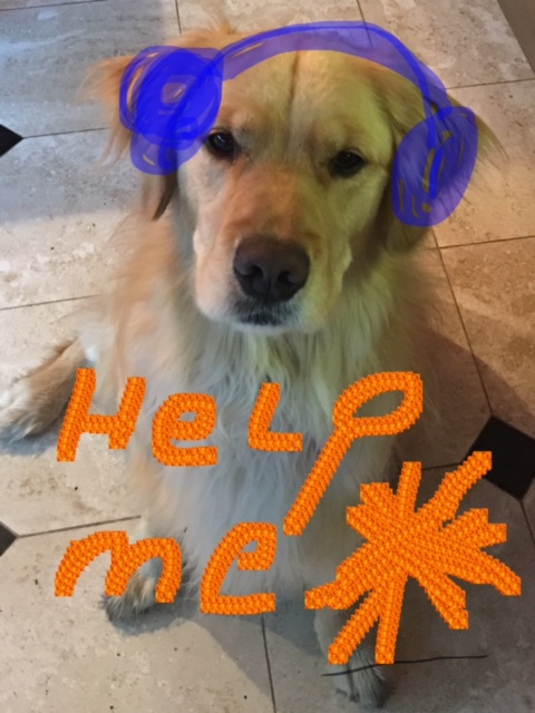 YouDoodle+Brodie with earphones for 4th of July