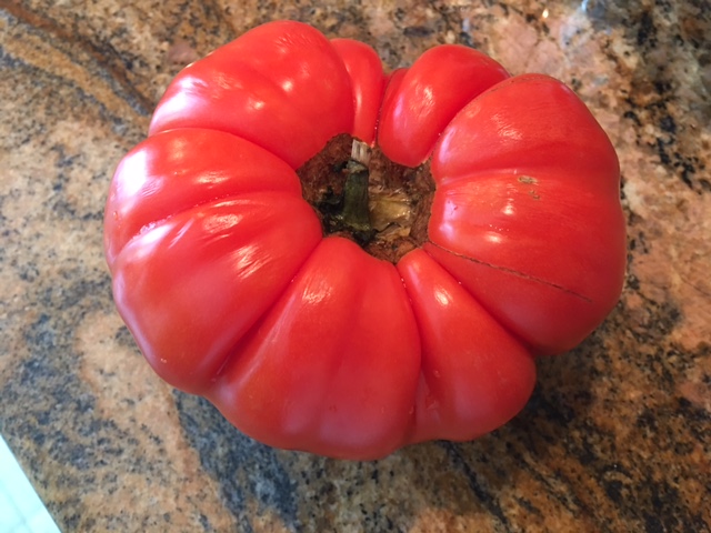 Heirloom tomato on granite