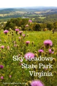 Sky Meadows State Park, Delaplane, VA