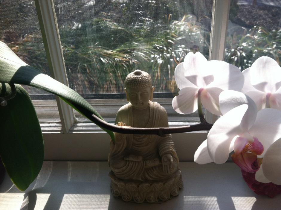 Statue of the Sitting Buddha in the window bathed in sunlight, touching an orchid