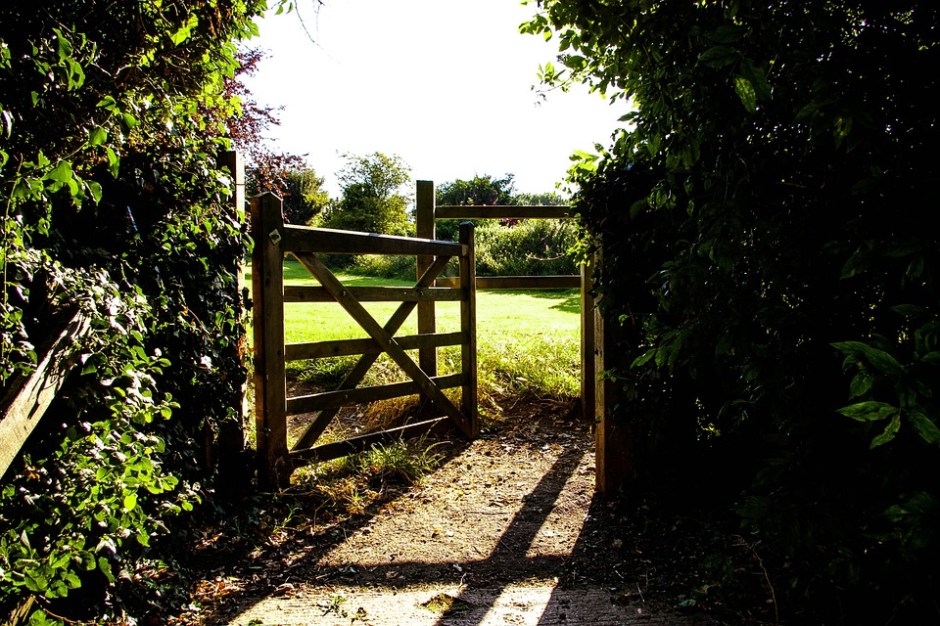 An open gate that leads to green open spaces