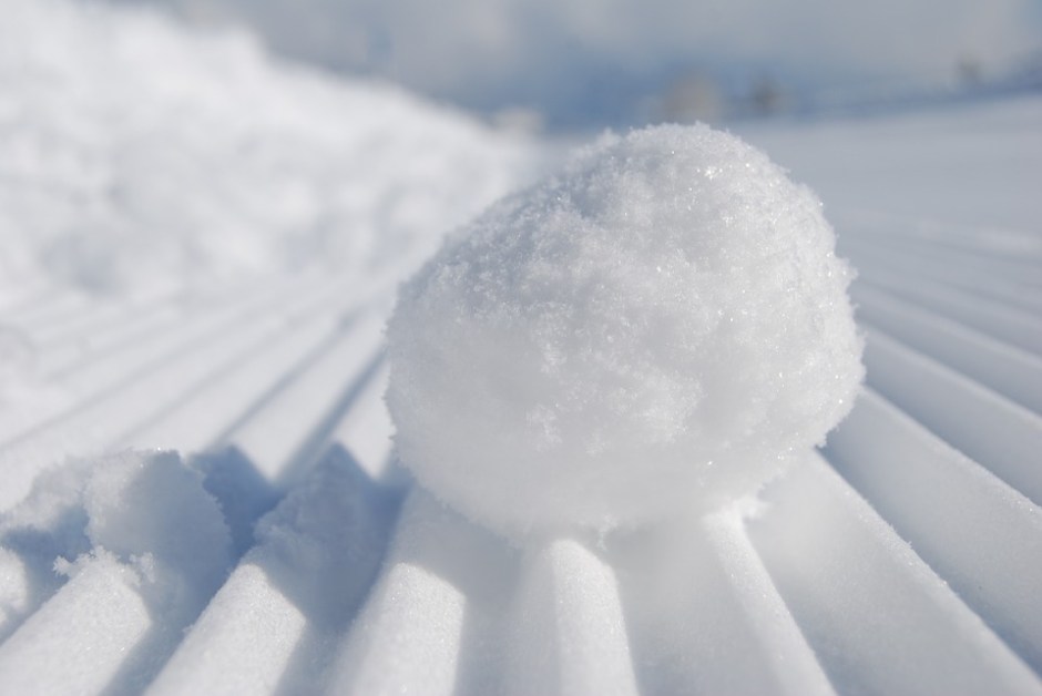 A snowball glistening in the sun