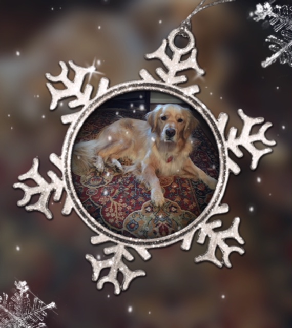Golden Retriever Brodie featured in a snowflake
