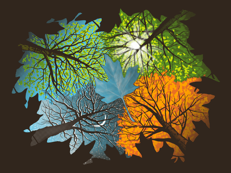graphic of 4 seasons through leaves/color
