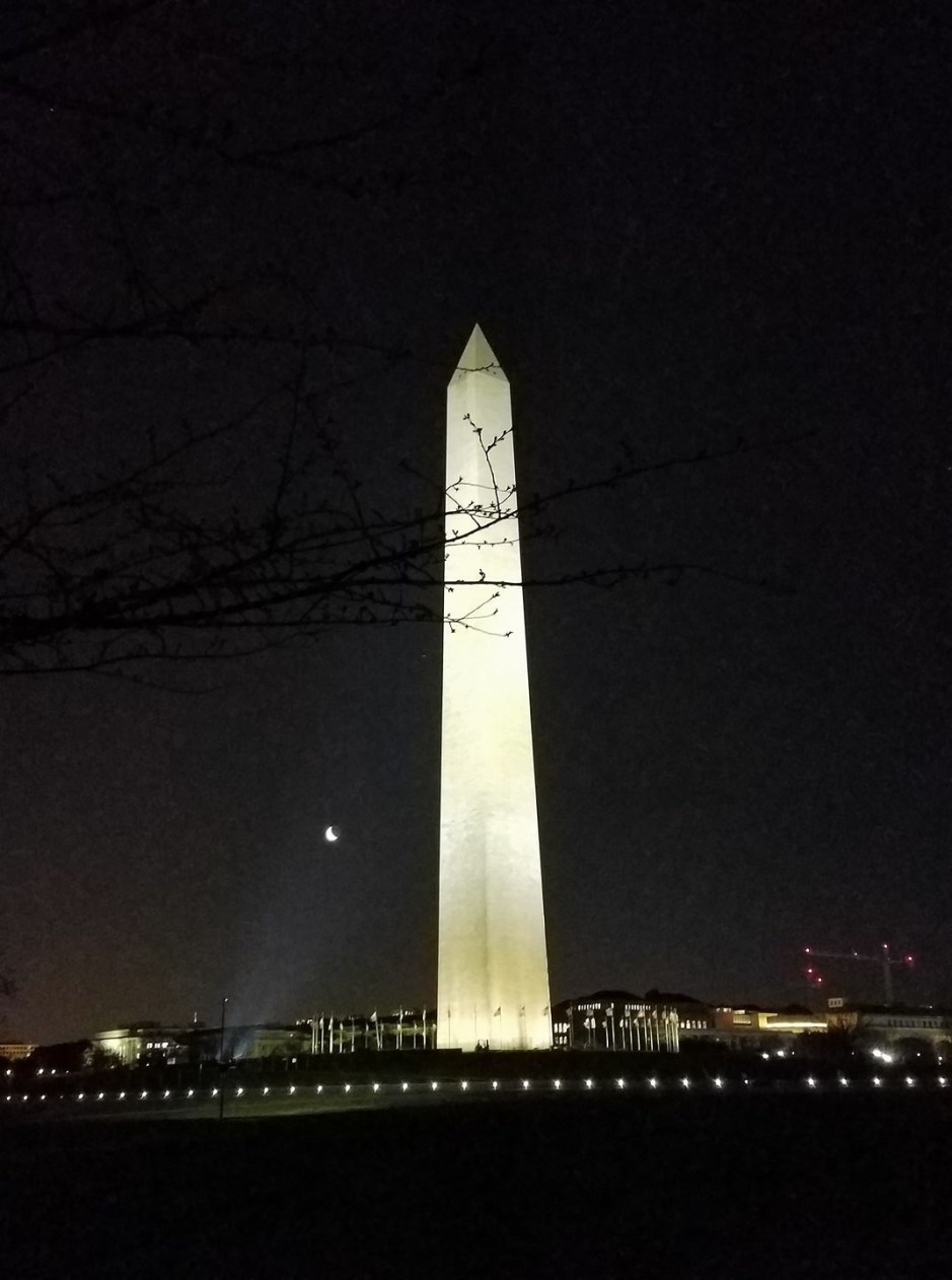 Cherry Blossom tree branch graces the image of the George Washington Monument
