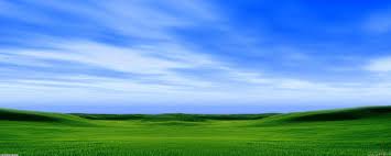 green field of grass under a blue sky