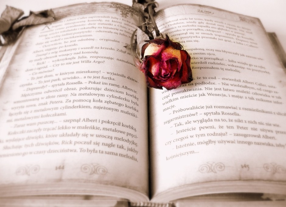An open book with a rose in the middle of the pages