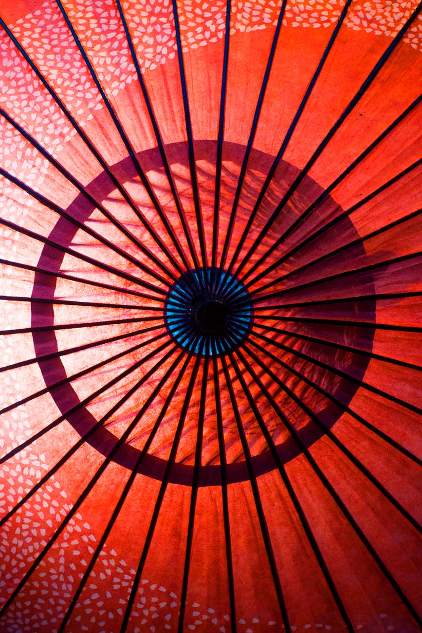 pexels photo inside of a red umbrella